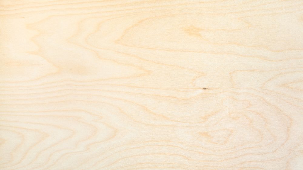 Birch wood