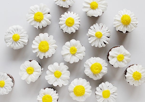 Butercream daisy cupcakes