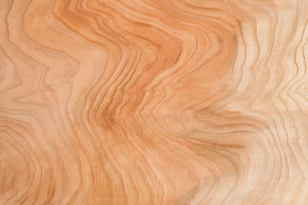 Cedar wood