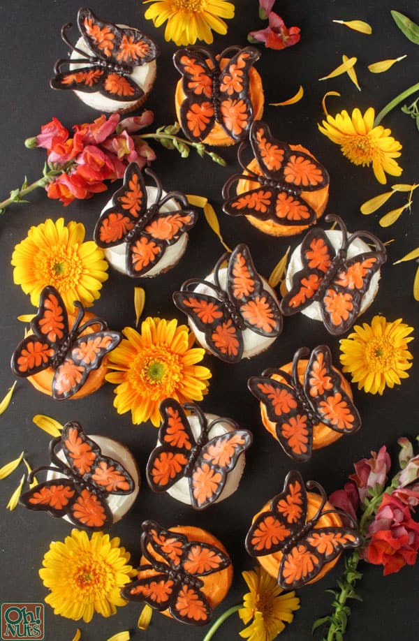 Chocolate butterfly cupcakes