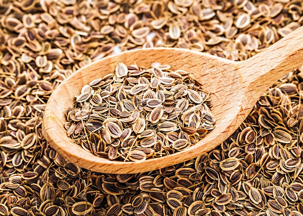 Dill seeds