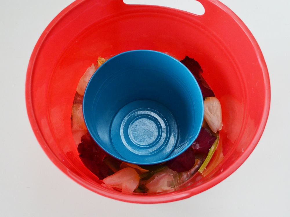 DIY Floral Ice Bowl Flowers