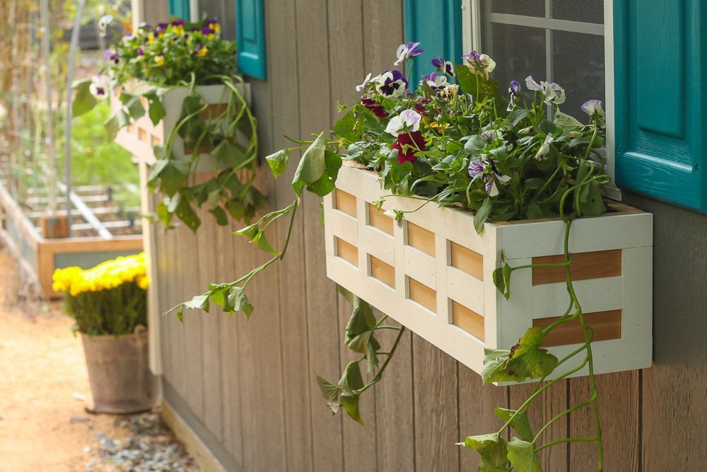 Diy lattice window flower box