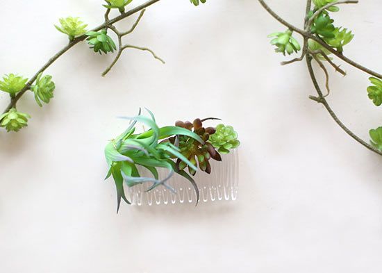 Diy succulent hair comb