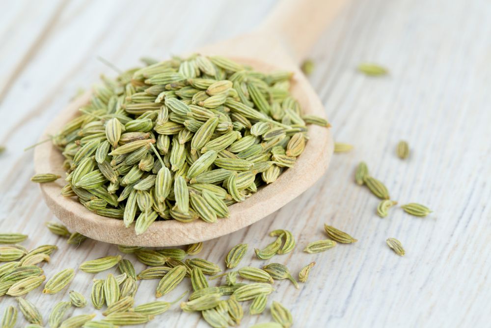 Fennel seeds