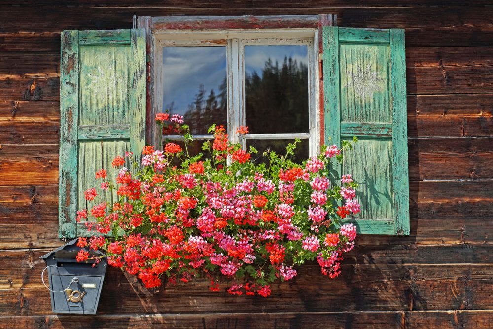 Flower box