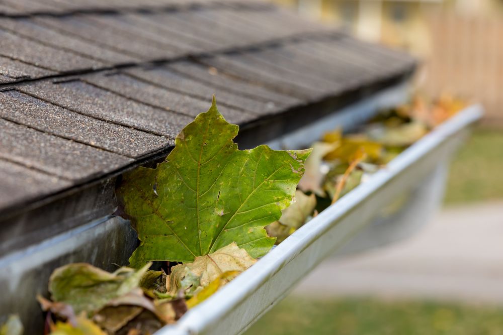Gutter cleaning