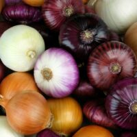 How to store onions