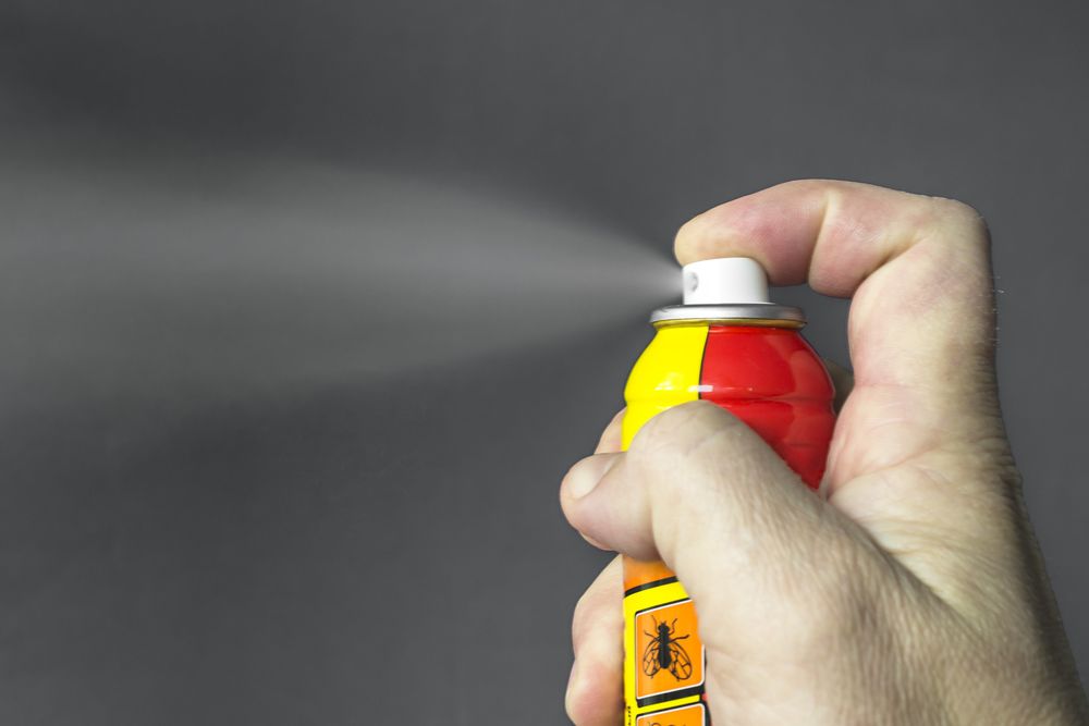 how to get rid of gnats