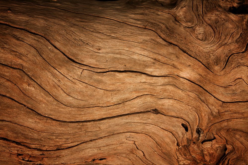 Mahogany