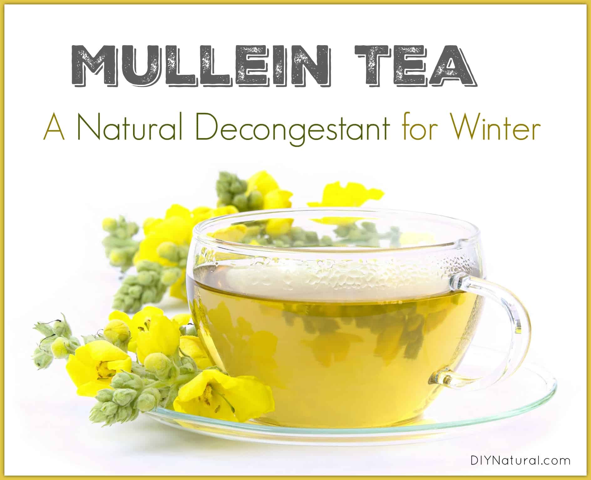 Mullein tea