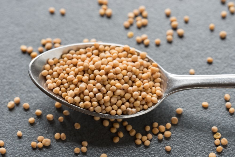 Mustard seeds