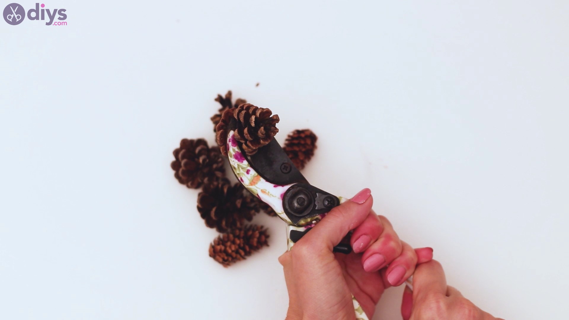 Pinecone flowers steps (10)