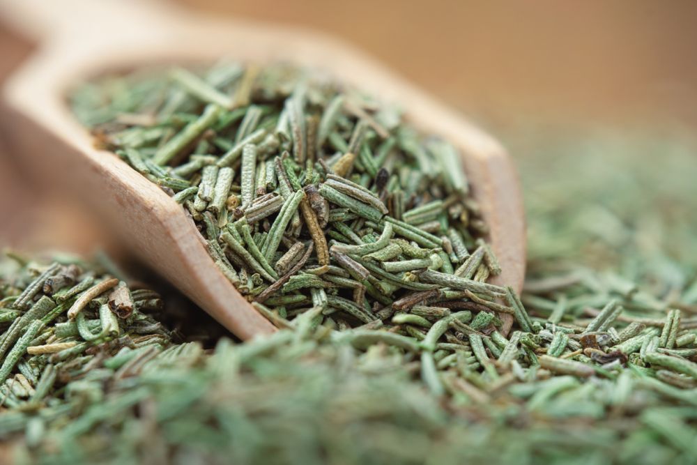 Rosemary