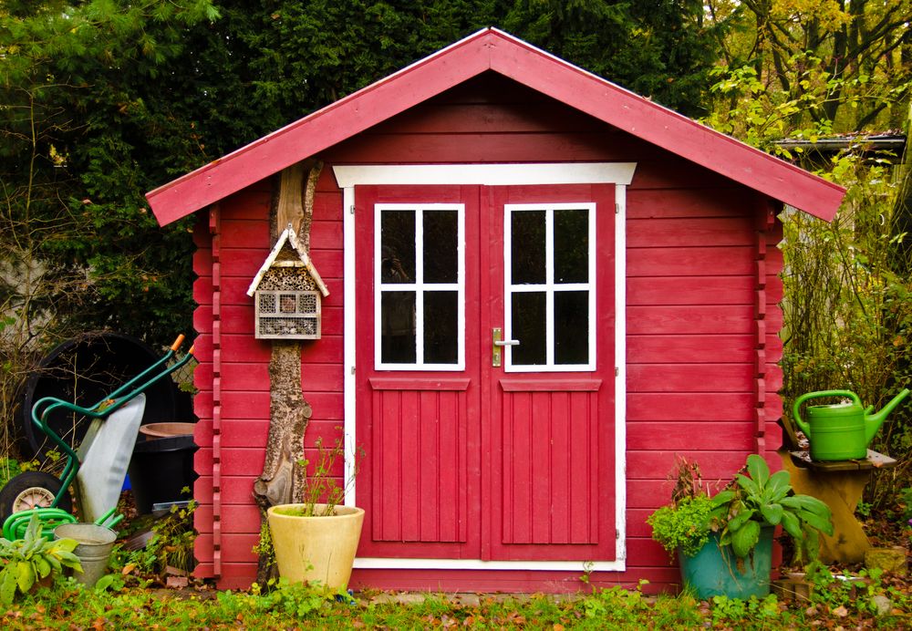 Shed house 