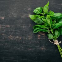 how to store basil
