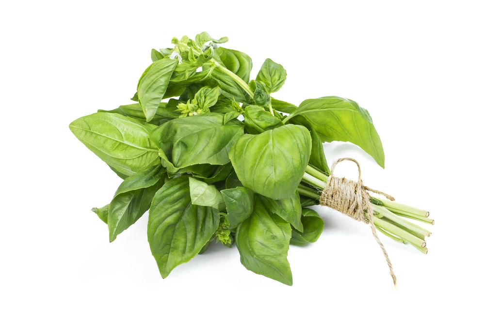Substitute for rosemary basil