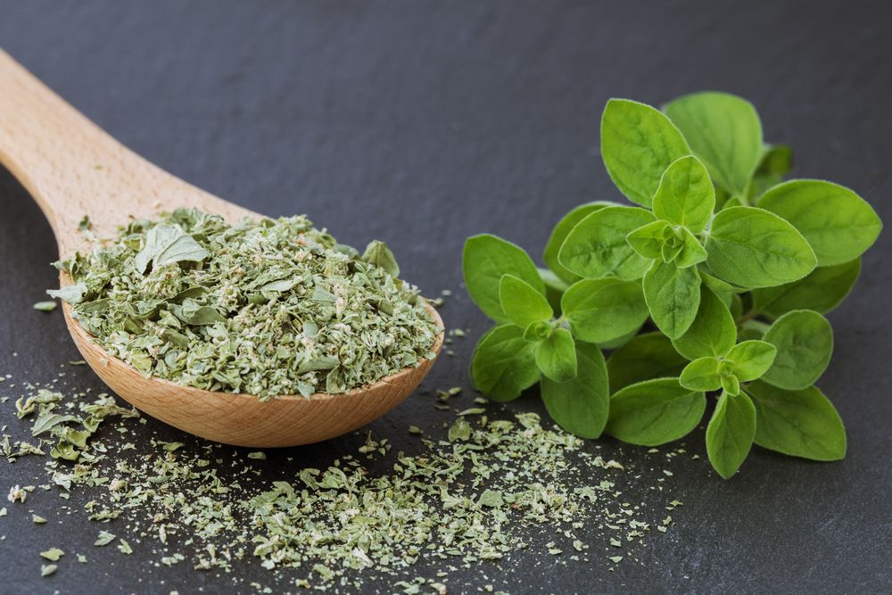 Substitute for rosemary marjoram (fresh or dried)