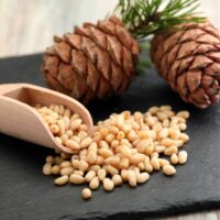 Substitutes for pine nuts