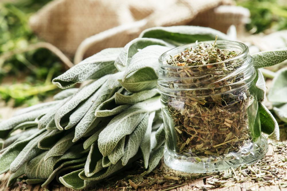 Substitutes for rosemary sage