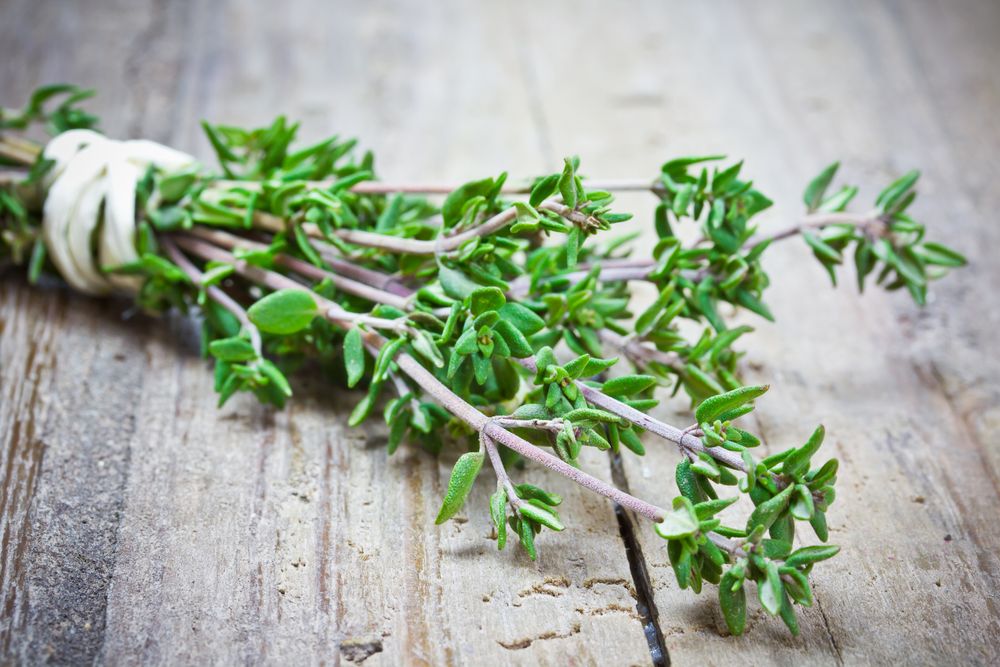 Substitutes for rosemary thyme