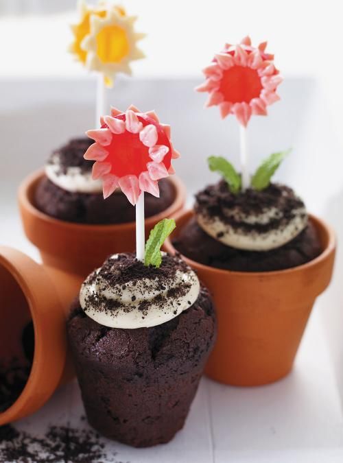 Terracota spring flower cupcakes