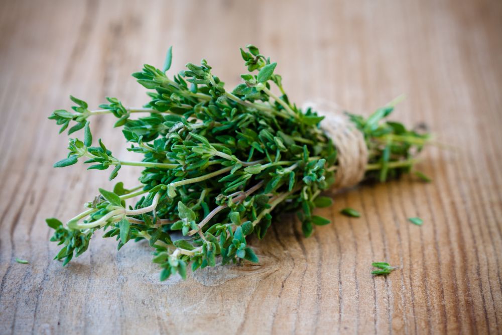 Thyme