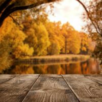 Types of wood