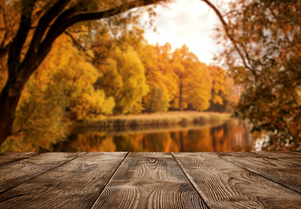 Types of wood