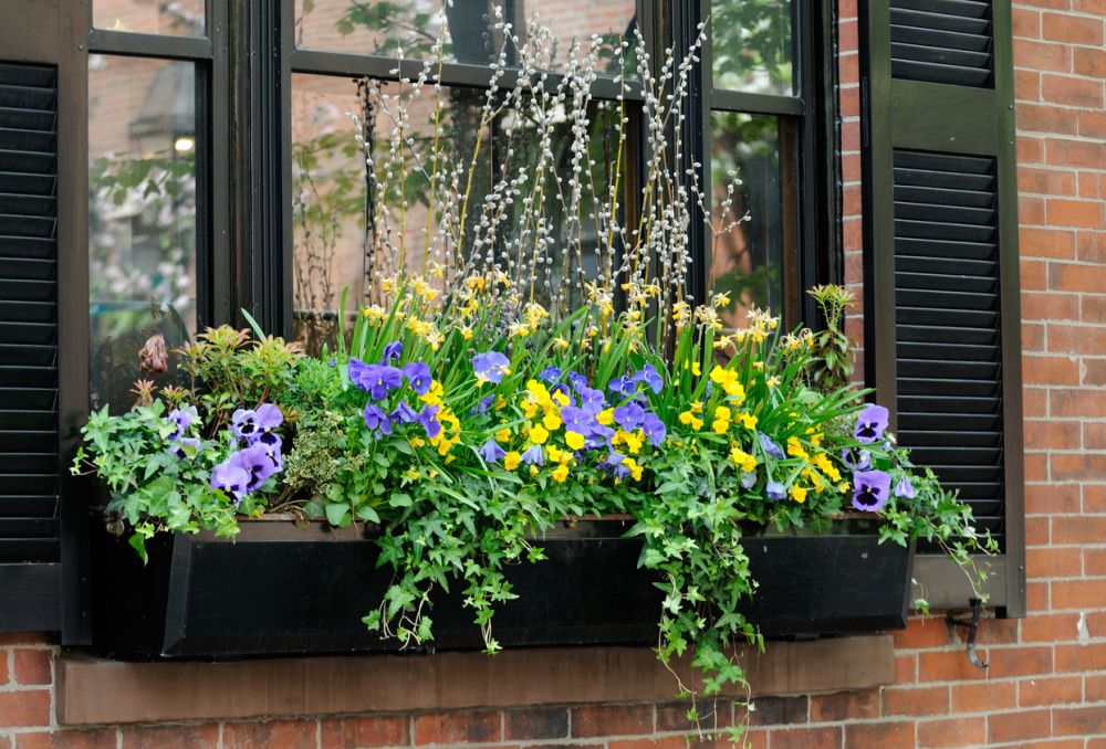 Window box flower arrangement