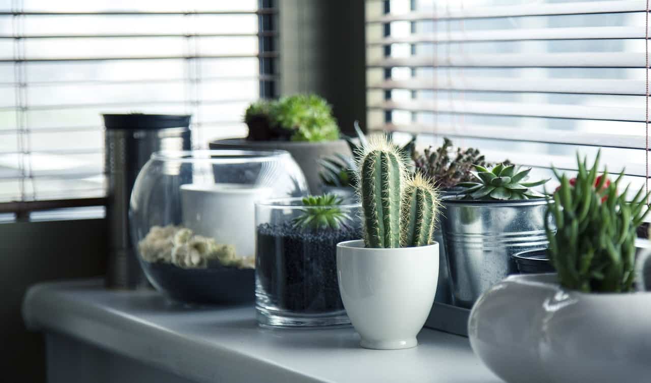 Window open at home