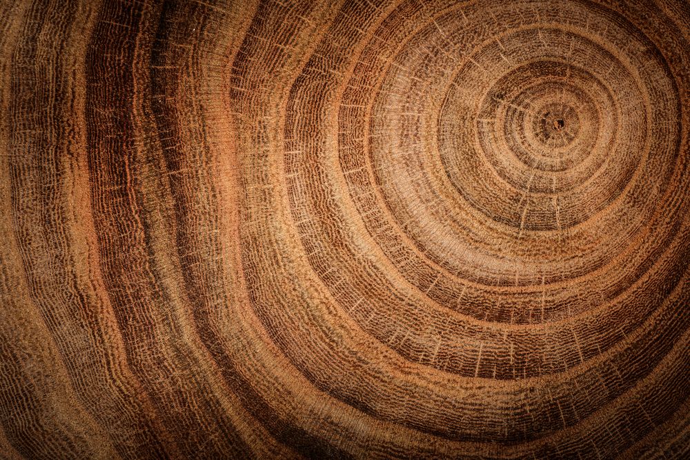 Wood rings